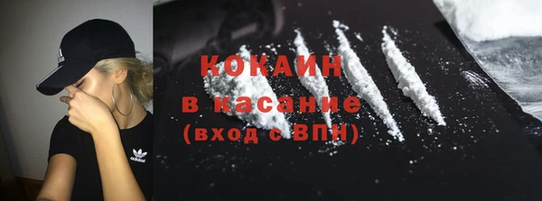 стафф Алзамай