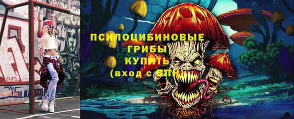 mdpv Инсар