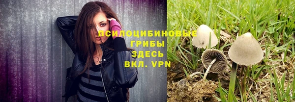 ALPHA PVP Горняк