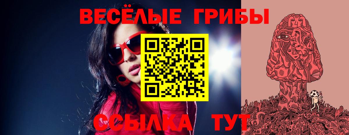 как найти наркотики  Галлюциногенные грибы Psilocybe  Вход с VPN  Череповец  Галлюциногенные грибы GOLDEN TEACHER 