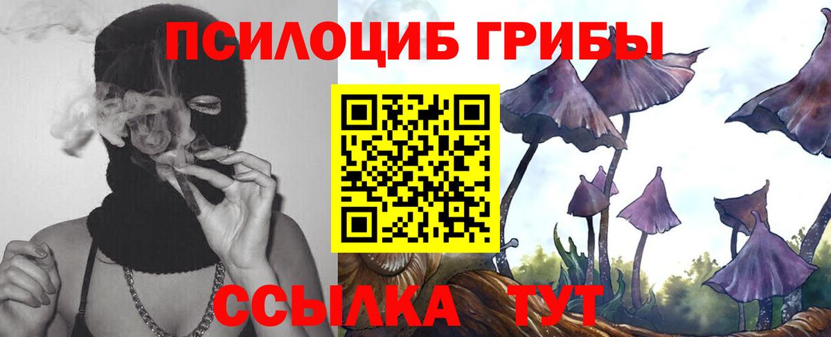 Галлюциногенные грибы мухоморы Череповец